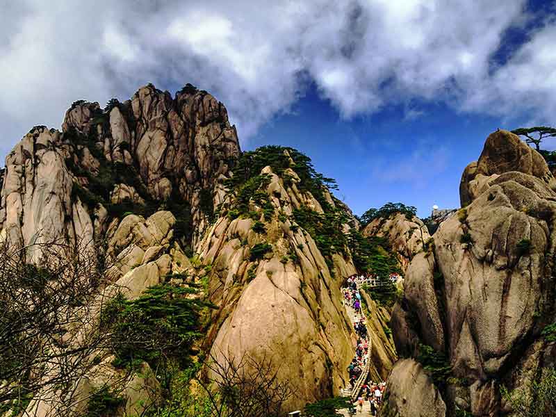 （純玩）黃山、水墨宏村、梓路寺、新安江濱水旅游區(qū)、屯溪老街雙飛4天團(tuán)