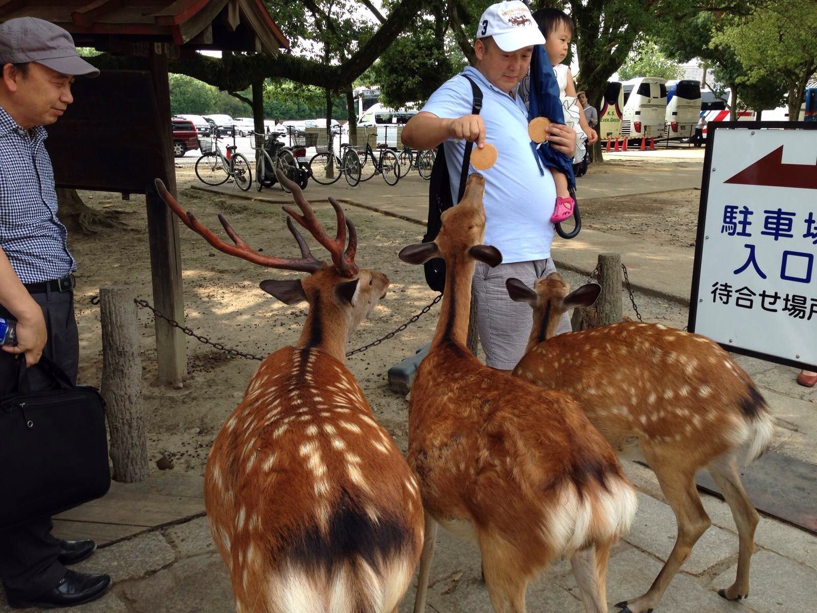 日本旅游