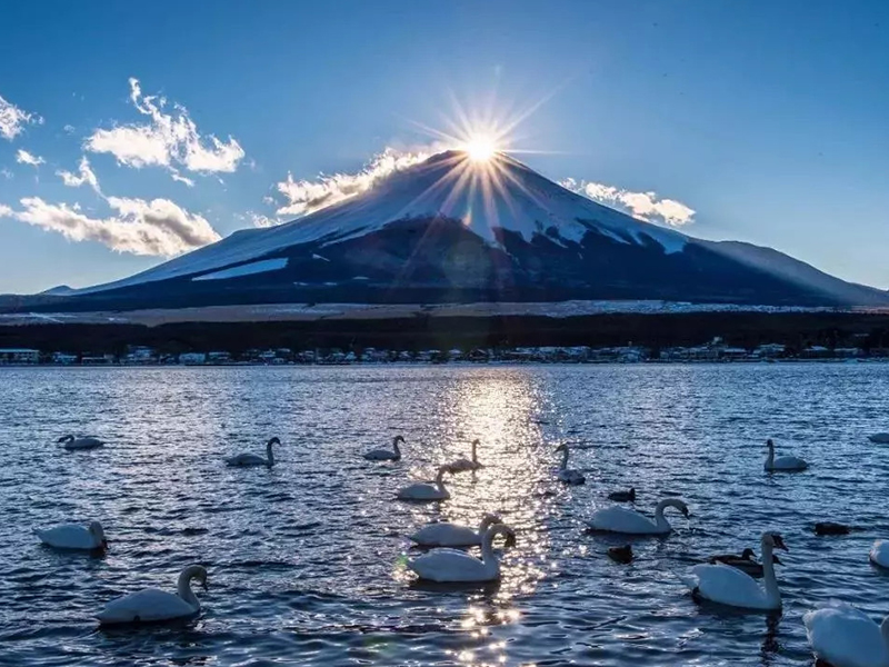 深圳直飛 特惠 日本本州6天5晚游 京阪名三都、兩大名城、平和公園、江之島電車、游湘南海岸