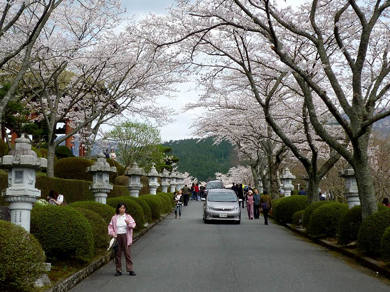 日本旅游